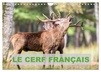 Le Cerf Français (Calendrier mural 2025 DIN A4 vertical), CALVENDO calendrier mensuel. Photos de cer
