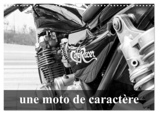 Une moto de caractère (Calendrier mural 2025 DIN A3 vertical), CALVENDO calendrier mensuel. Transfor