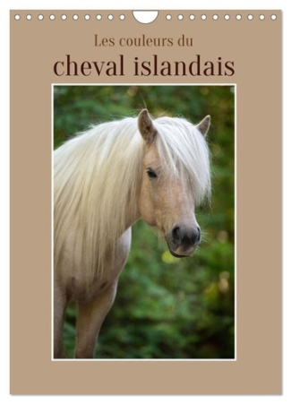 Les couleurs du cheval islandais (Calendrier mural 2025 DIN A4 horizontal), CALVENDO calendrier mens
