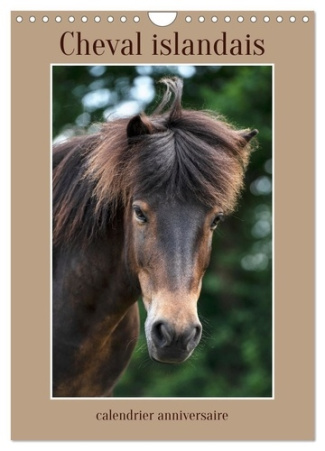 Cheval islandais - calendrier anniversaire (Calendrier mural 2025 DIN A4 horizontal), CALVENDO calen
