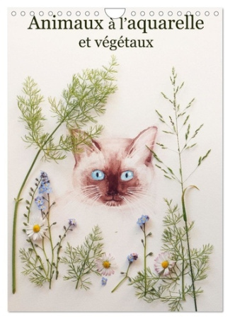 Animaux à l'aquarelle et végétaux (Calendrier mural 2025 DIN A4 horizontal), CALVENDO calendrier men