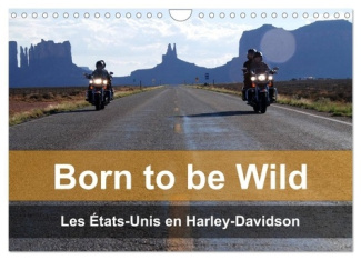 Born to be wild - Les États-Unis en Harley-Davidson (Calendrier mural 2025 DIN A4 vertical), CALVEND