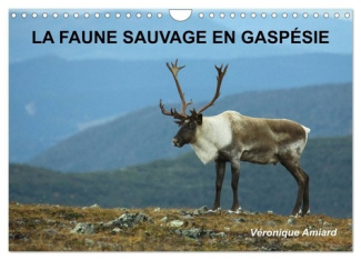 LA FAUNE SAUVAGE EN GASPÉSIE (Calendrier mural 2025 DIN A4 vertical), CALVENDO calendrier mensuel. B