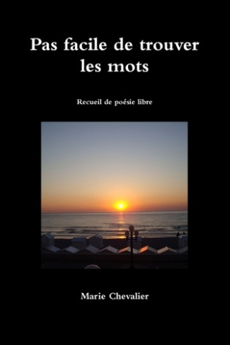 Pas facile de trouver les mots