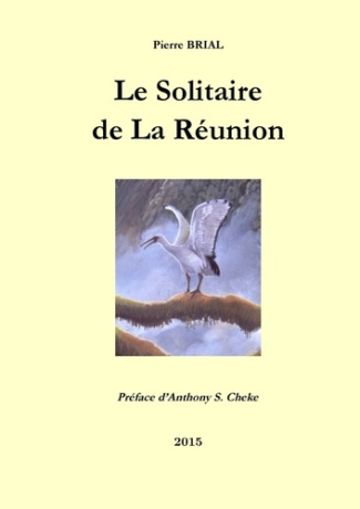 Le Solitaire de La Réunion