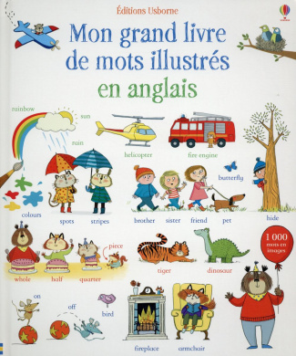 MON GRAND LIVRE DE MOTS ILLUSTRES EN ANGLAIS