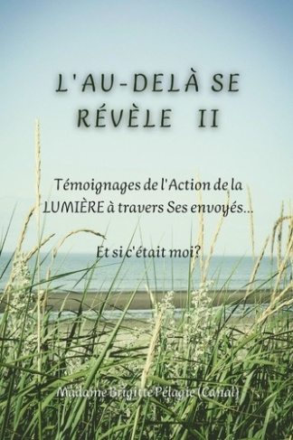 L'AU-DELÀ SE RÉVÈLE II (couverture souple). Témoignages de l'Action de la LUMIÈRE sur Terre à trave