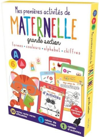Mes premières activités de maternelle grande section. Avec 30 cartes recto verso effaçables, 1 cahie