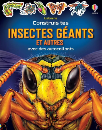 Construis tes insectes géants et autres avec des autocollants