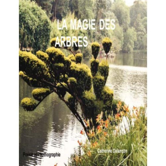 La magie des arbres