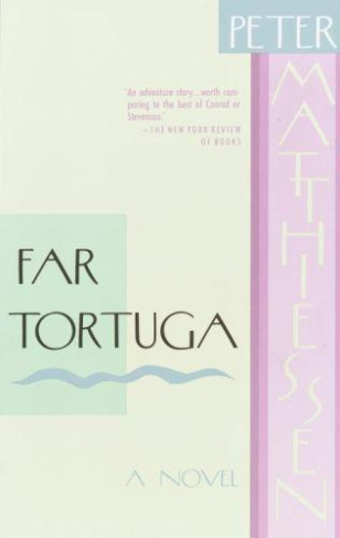 FAR TORTUGA