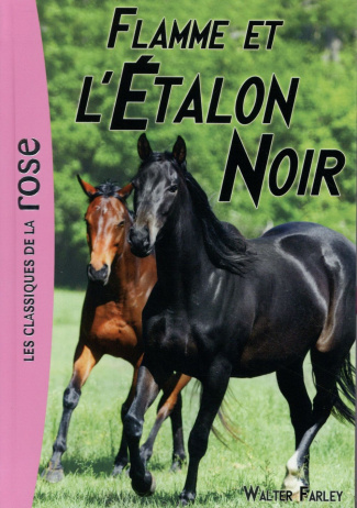 L'Etalon Noir Tome 17 : Flamme et l'étalon noir
