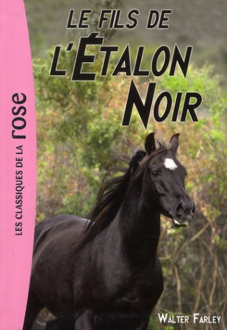 L'Etalon Noir Tome 4 : Le fils de l'étalon noir