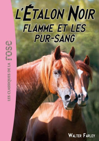 L'Etalon Noir Tome 11 : Flamme et les pur-sang