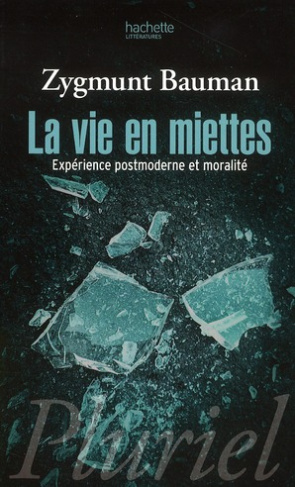 La vie en miettes. Expérience postmoderne et moralité