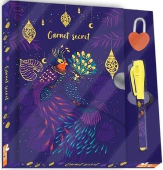 Carnet secret. Avec 1 stylo magique, 1 cadenas et 2 clés