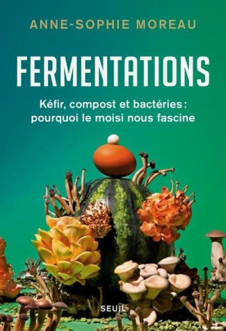 Fermentations. Kéfir, compost et bactéries : pourquoi le moisi nous fascine