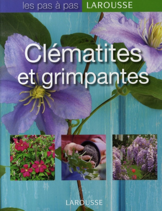 Clématites et grimpantes