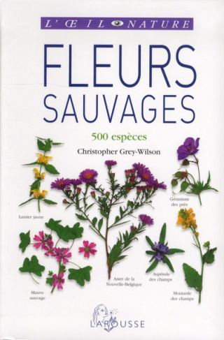 Fleurs sauvages