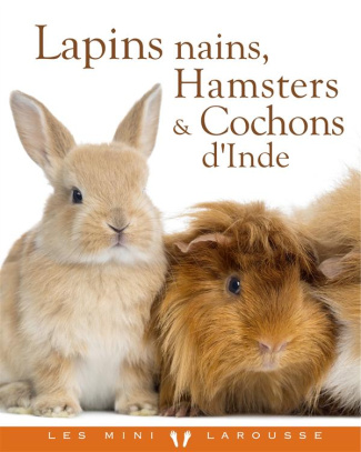 Lapins nains, hamsters et cochons d'Inde