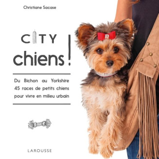 Choisir un petit chien pour la ville. Du Bichon au Yorkshire 45 races de petits chiens pour vivre en