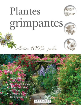 Plantes grimpantes