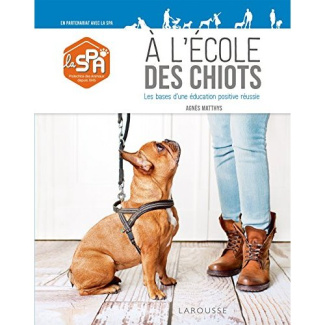 A l'école des chiots. Les bases d'une éducation positive réussie