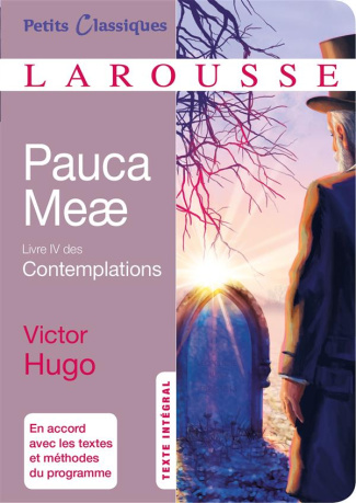 Pauca Meae. Livre 4 des Contemplations