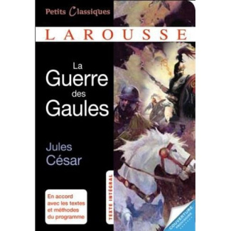 La guerre des Gaules