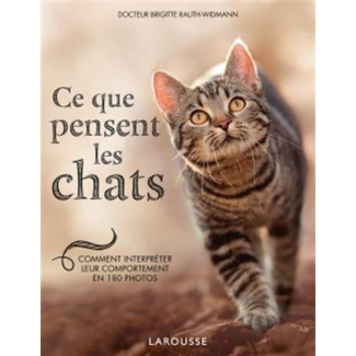 Ce que pensent les chats. Comment interpréter leur comportement en 180 photos