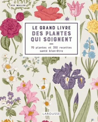 Le grand livre des plantes qui soignent. 70 plantes et 350 recettes santé bien-être