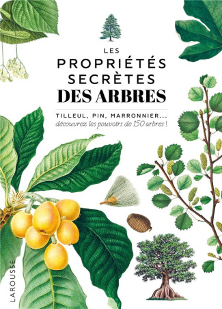 Les propriétés secrètes des arbres. Tilleul, pin, maronnier... découvrez les pouvoirs de 150 arbres
