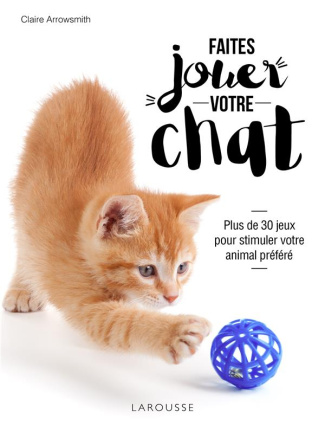 Faîtes jouer votre chat ! Plus de 30 jeux pour stimuler votre animal préféré
