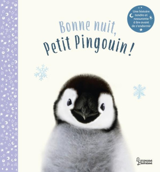 Bonne nuit, petit pingouin !