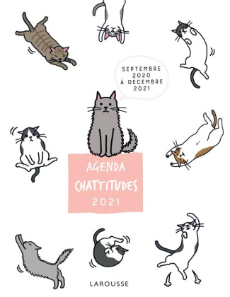 Agenda Chattitudes. Septembre 2020 à décembre 2021. Avec 1 grande pochette zippée, 1 bloc à messages