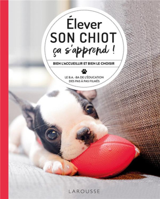 Elever son chiot, ça s'apprend ! Comment élever son chiot (au top !)