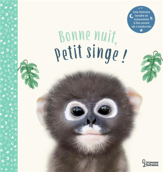 Bonne nuit, petit singe !
