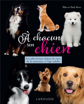 A chacun son chien. Les plus beaux chiens de race, de la naissance à l'âge adulte