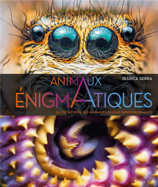 Animaux énigmatiques. La vie secrète des animaux les plus impressionnants
