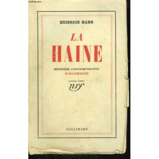 LA HAINE - HISTOIRE CONTEMPORAINE D'ALLEMAGNE