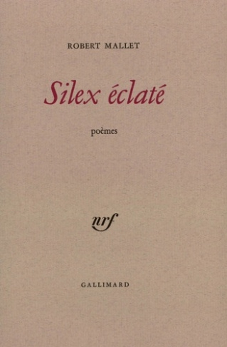 Silex Eclaté