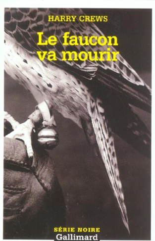 Le faucon va mourir