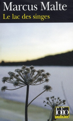 Le lac des singes