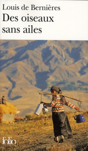 Des oiseaux sans ailes