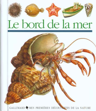 Le bord de la mer