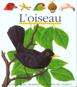 L'oiseau