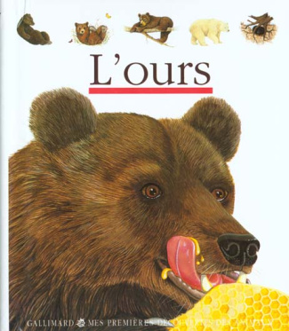 L'ours