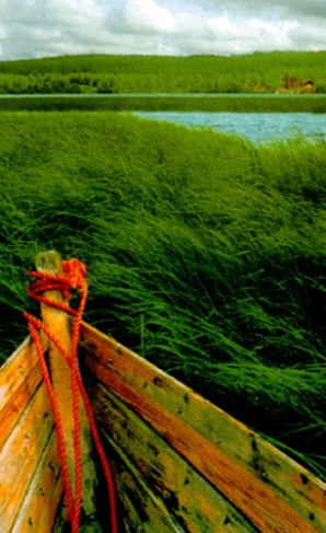 COFFRET FOLIO PAASIL 699 3V