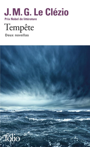 Tempête. Deux novellas