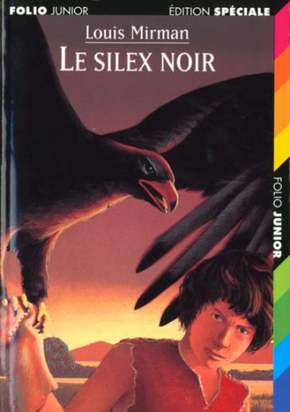Le silex noir
